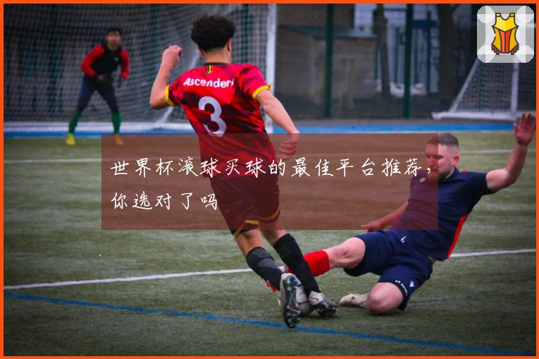 世界杯滚球买球的最佳平台推荐，你选对了吗
