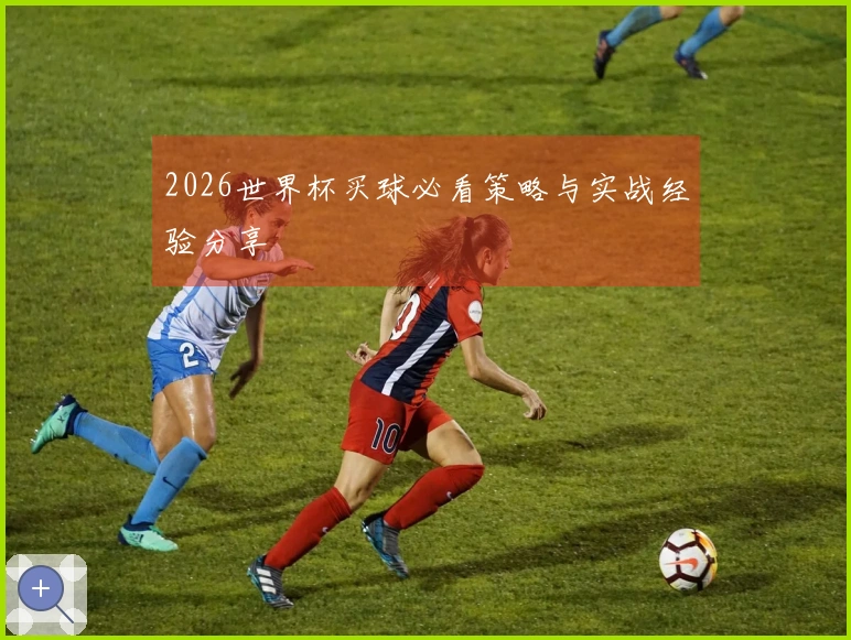 2026世界杯买球必看策略与实战经验分享