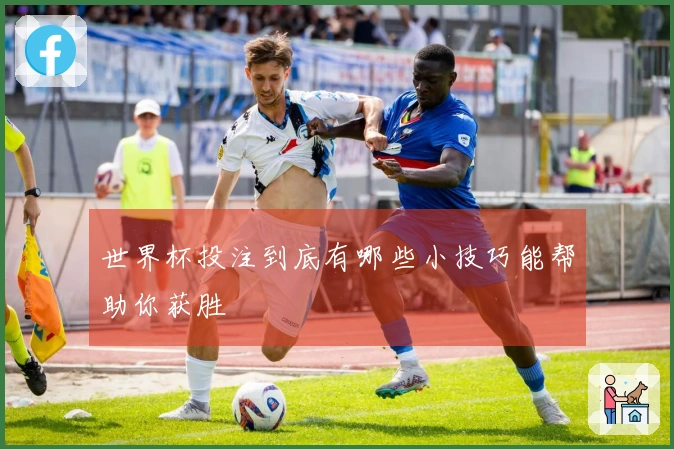 世界杯投注到底有哪些小技巧能帮助你获胜